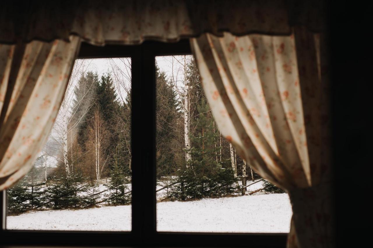Hanna'S Hidden Haven Harghita-Băi Eksteriør billede