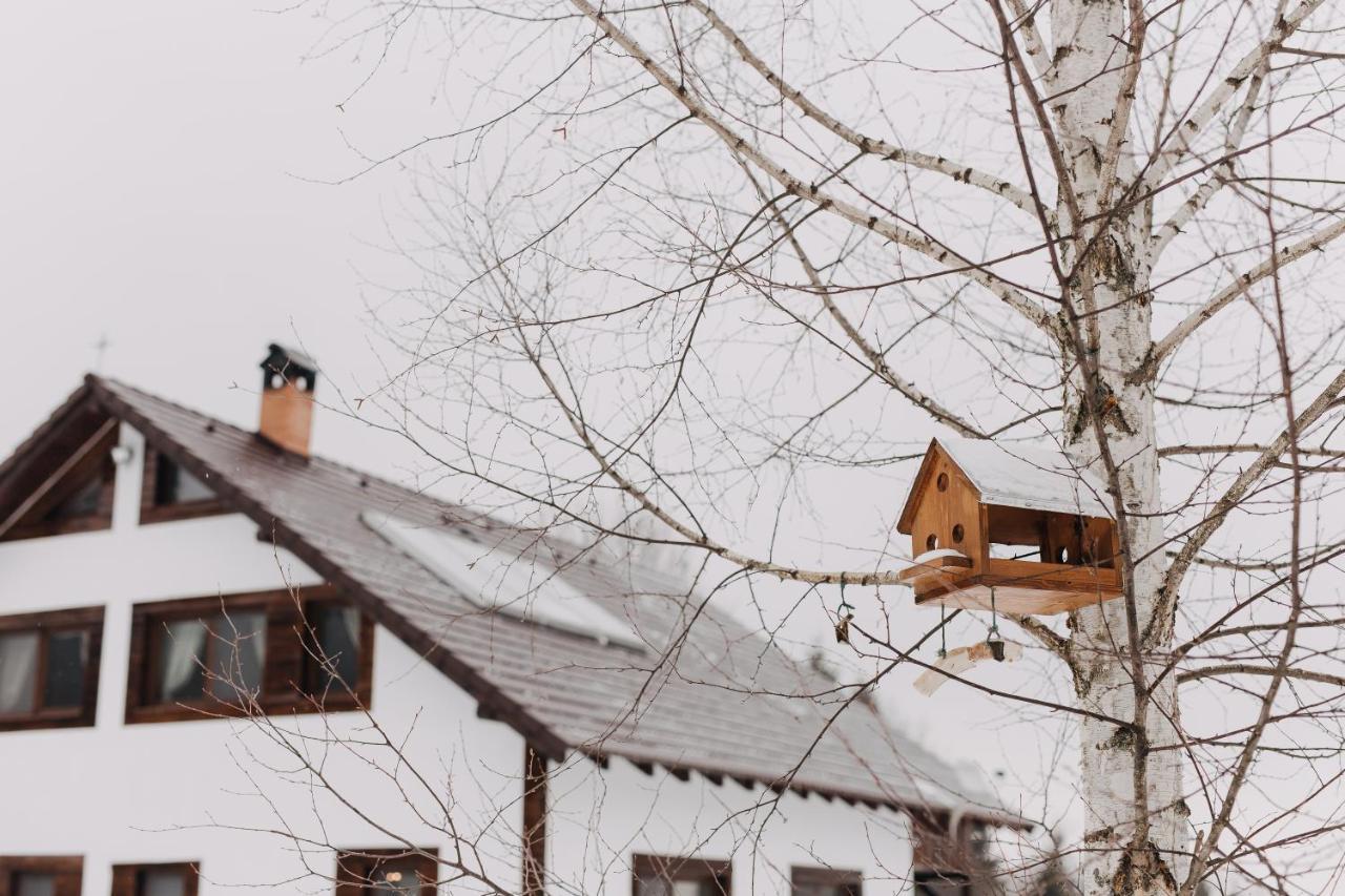 Hanna'S Hidden Haven Harghita-Băi Eksteriør billede