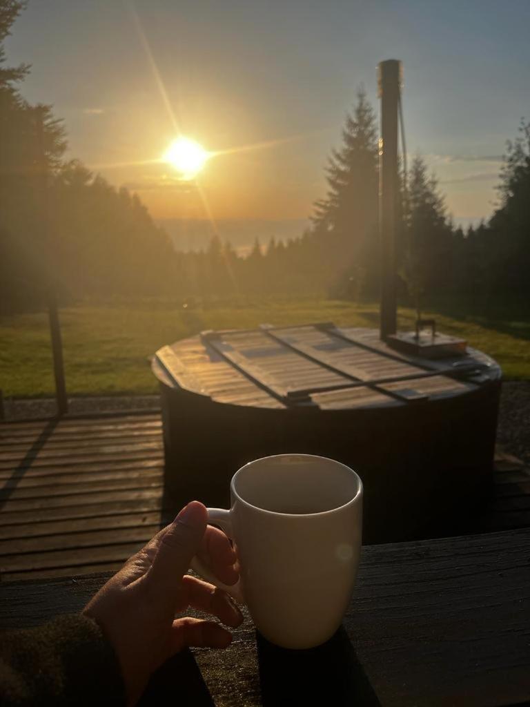 Hanna'S Hidden Haven Harghita-Băi Eksteriør billede