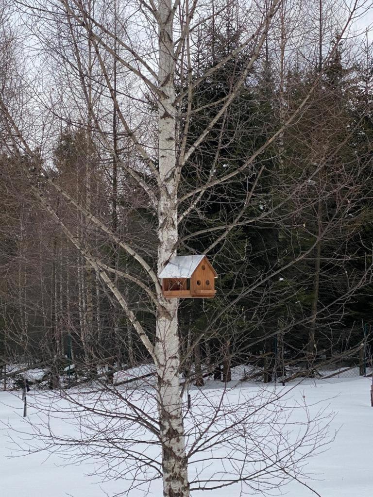 Hanna'S Hidden Haven Harghita-Băi Værelse billede